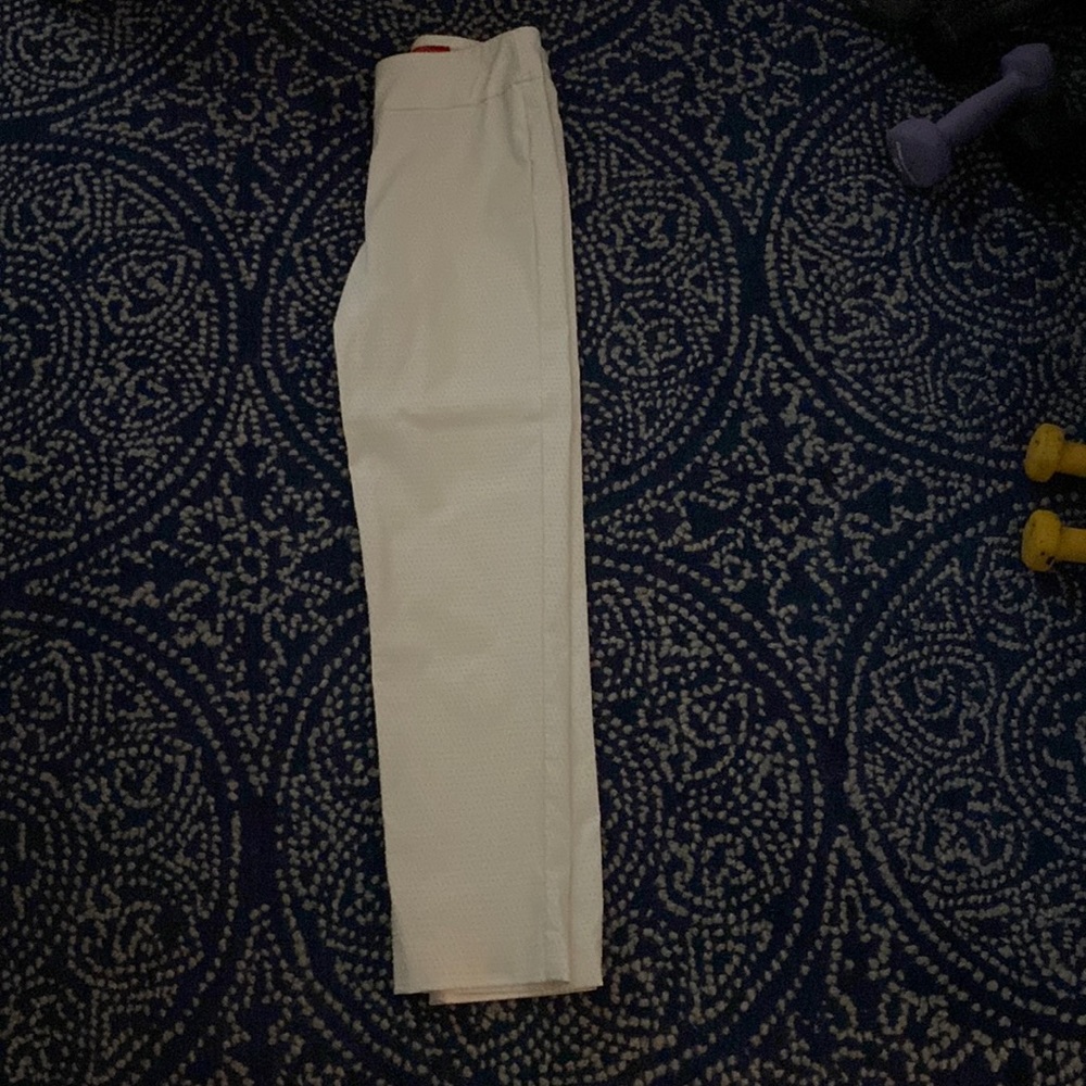 Unusual Krazy Larry Ankle Pants for Summer Size 6